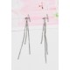 Boucle d'oreille