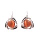 Boucle d'oreille